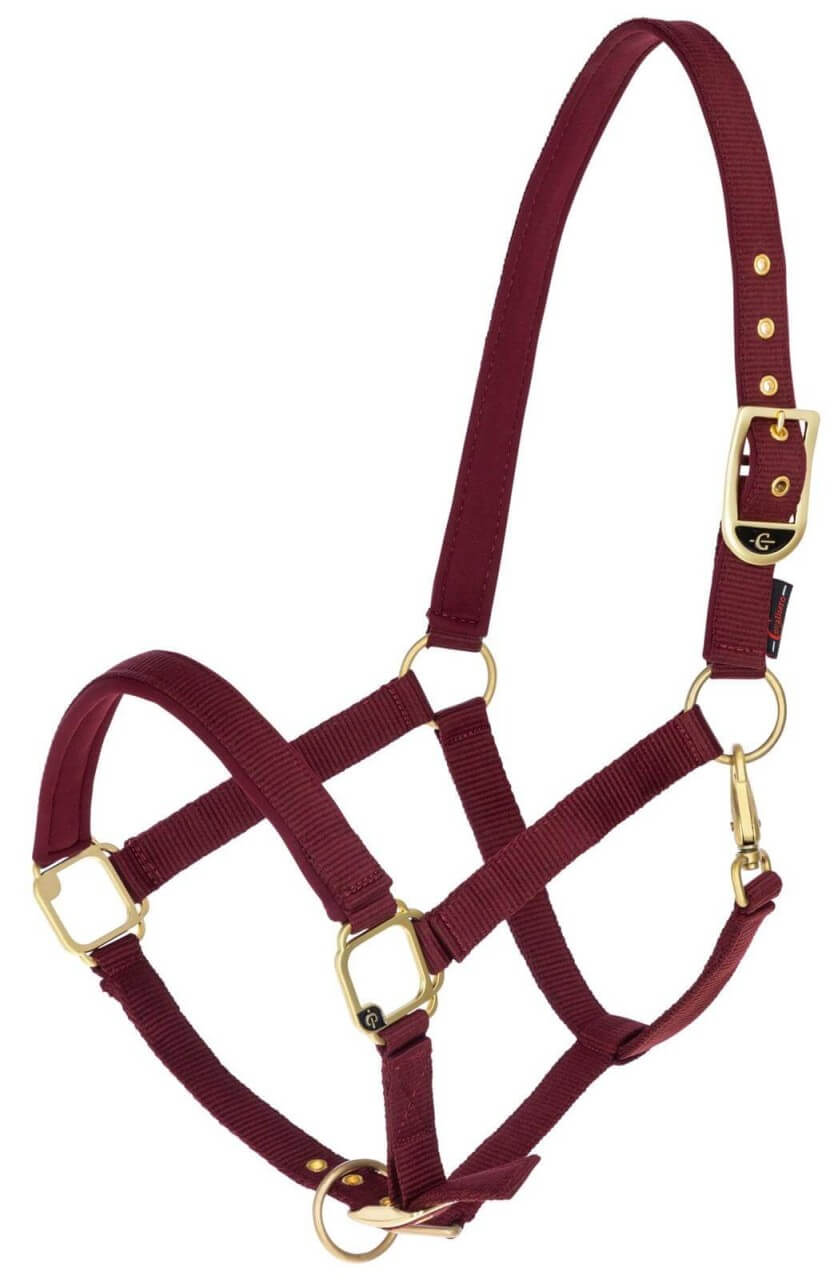 Covalliero Halfter Classy Nylonhalfter Covalliero Halfter Classy Nylonhalfter