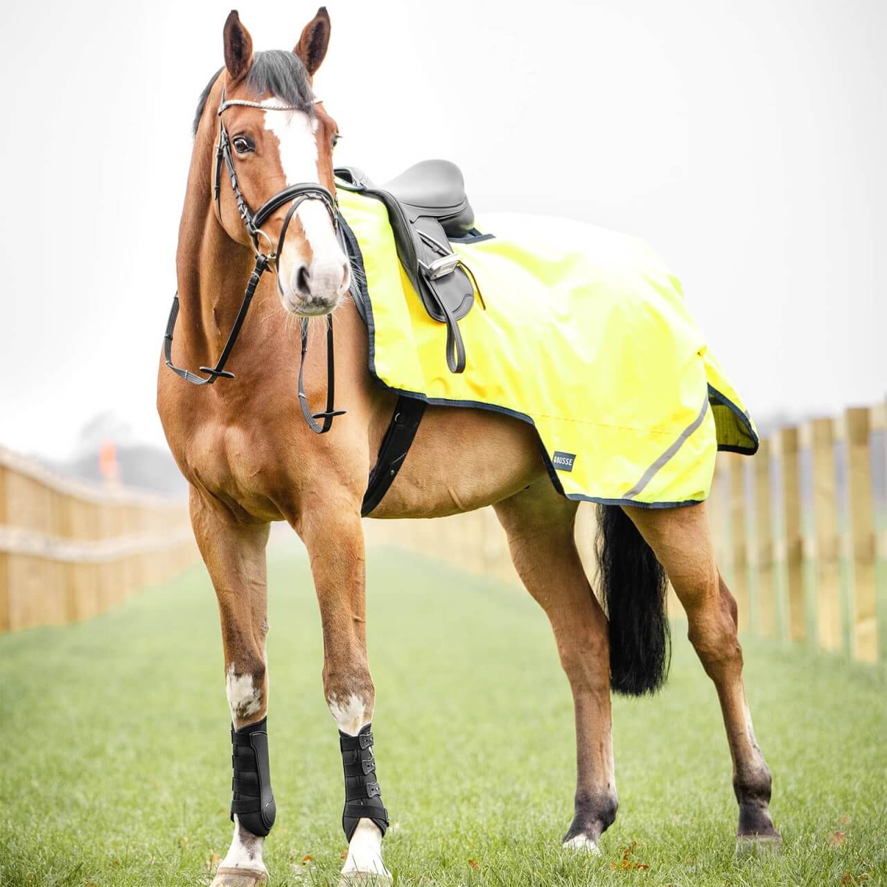 BUSSE Ausreitdecke 100g Shine Reflex BUSSE Ausreitdecke 100g Shine Reflex