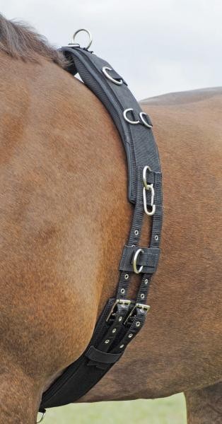 BUSSE Longiergurt Profi-Soft BUSSE Longiergurt Profi-Soft
