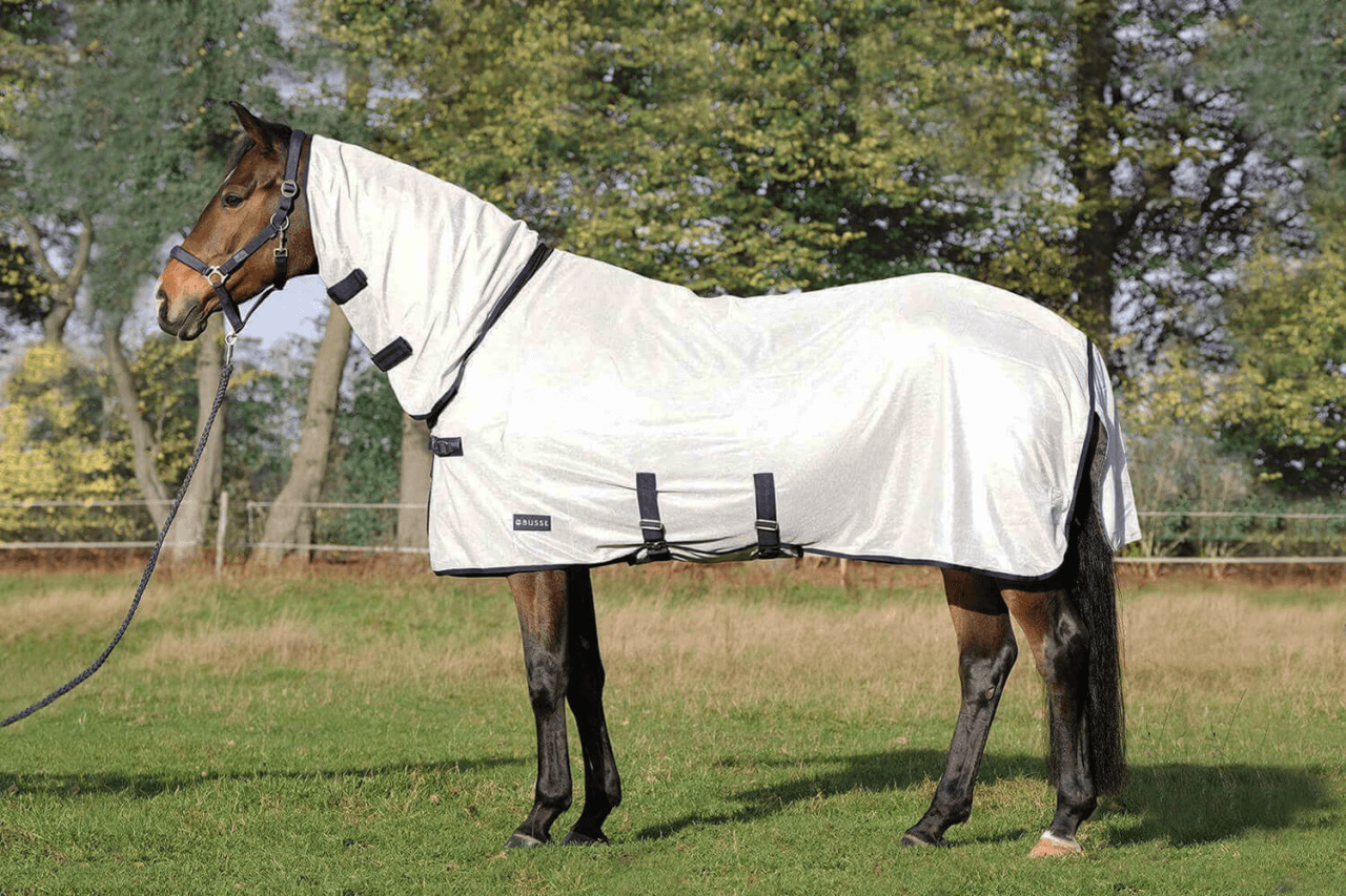 MicrosoftTeams-image-27ujD3phsCYlmMx