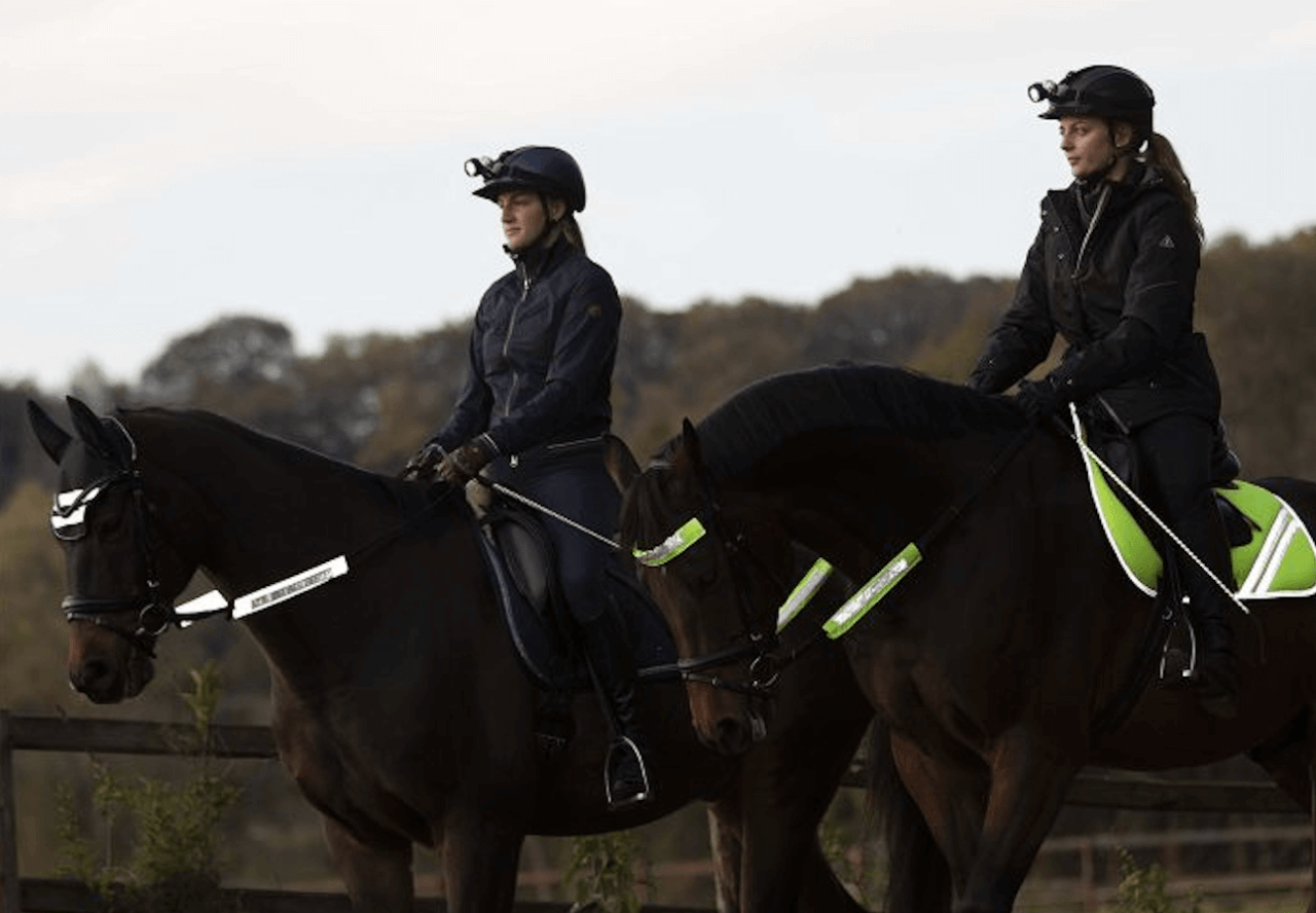 Bildschirmfoto-2024-10-21-um-13-47-34