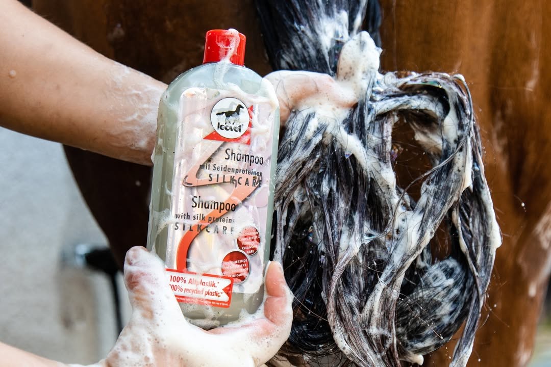 SnapInsta-to_499861921_708948918192156_9078842762726417426_n