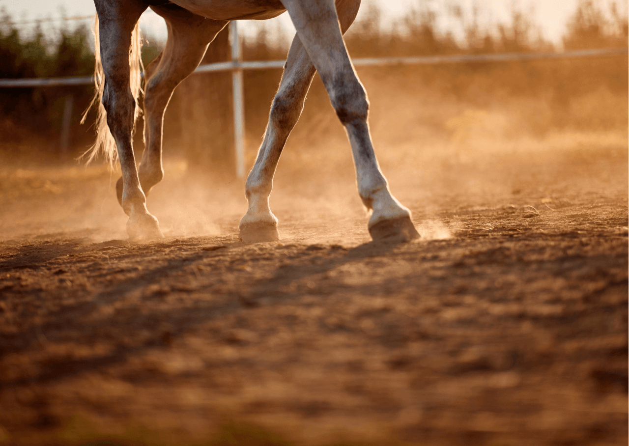 Design-ohne-TiteljYmS1QiaQm82i