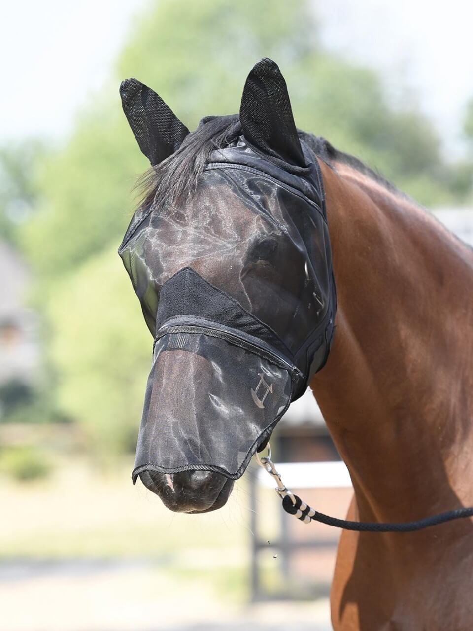 BUSSE Fliegenmaske Fly Protector Fliegenschutz Insektenschutz BUSSE Fliegenmaske Fly Protector Fliegenschutz Insektenschutz