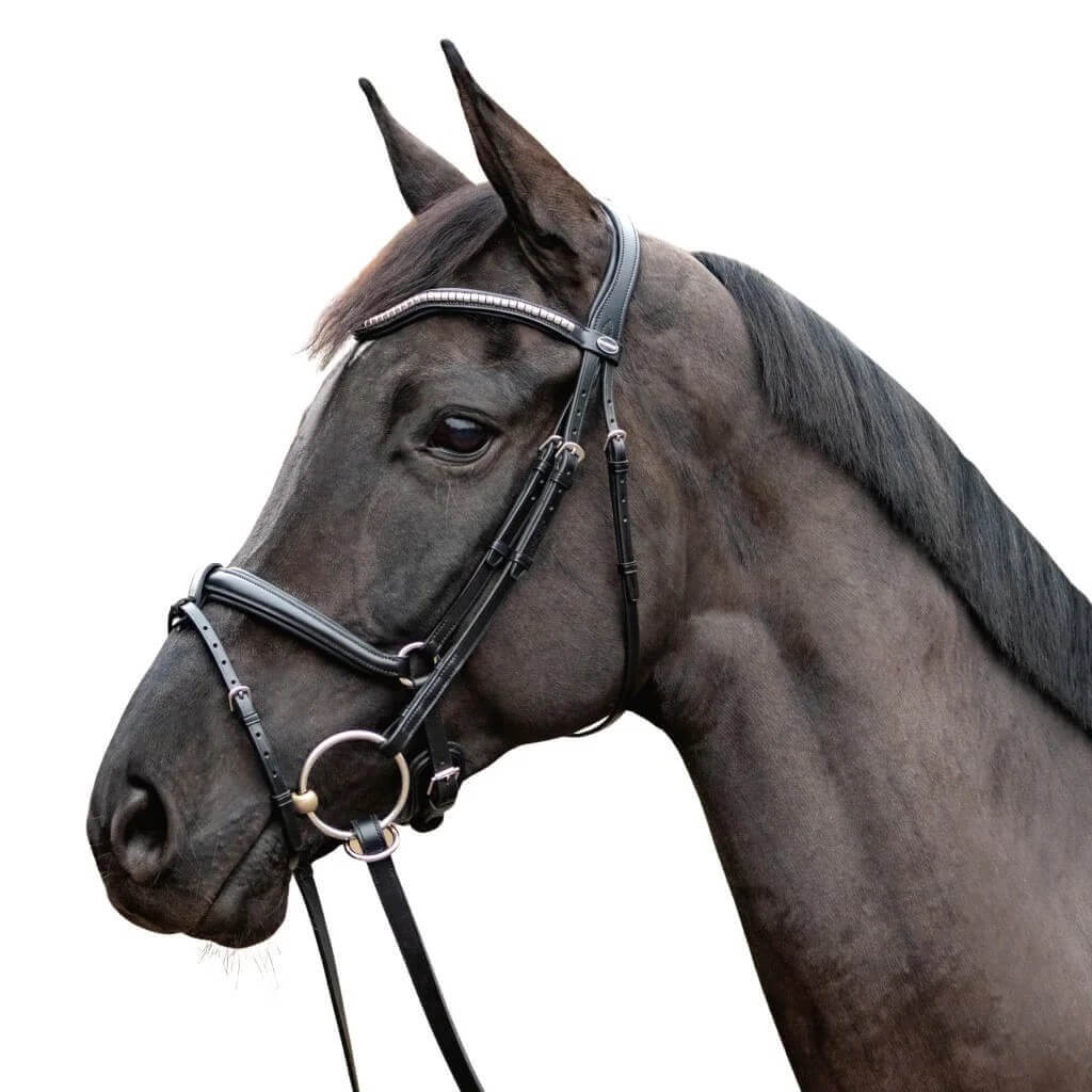 Passier Trense Balance Trensenzaum Passier Trense Balance Trensenzaum