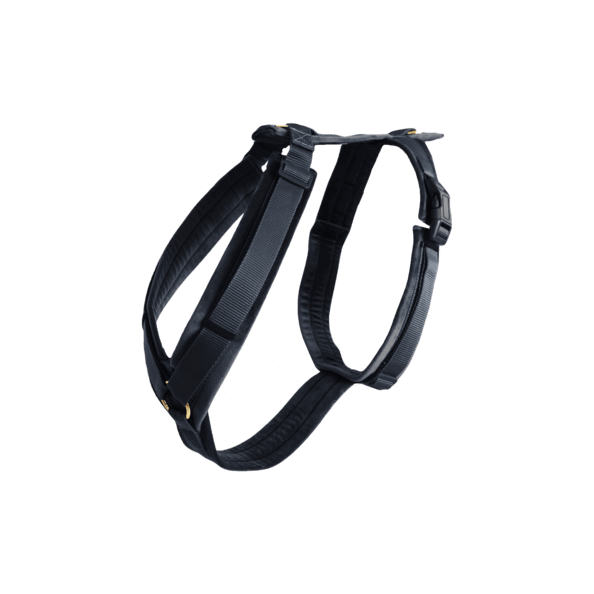 Kentucky Dogwear Hundegeschirr Aktiv Velvet Samt Kentucky Dogwear Hundegeschirr Aktiv Velvet Samt