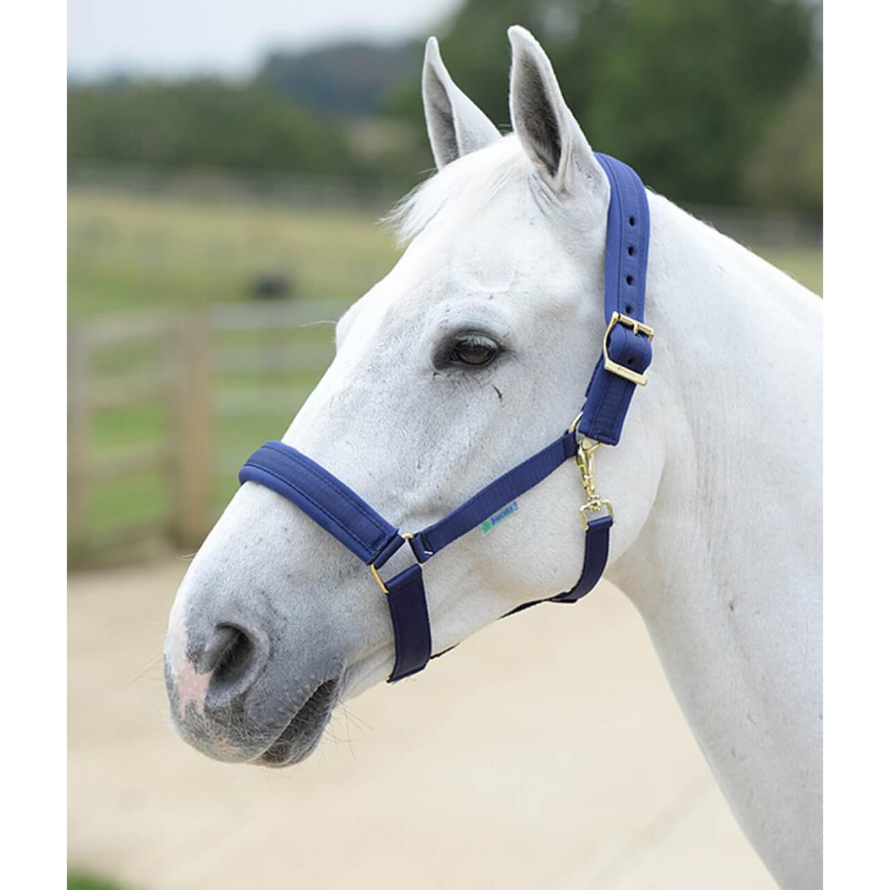 Bucas Halfter Comfort Halter Bucas Halfter Comfort Halter
