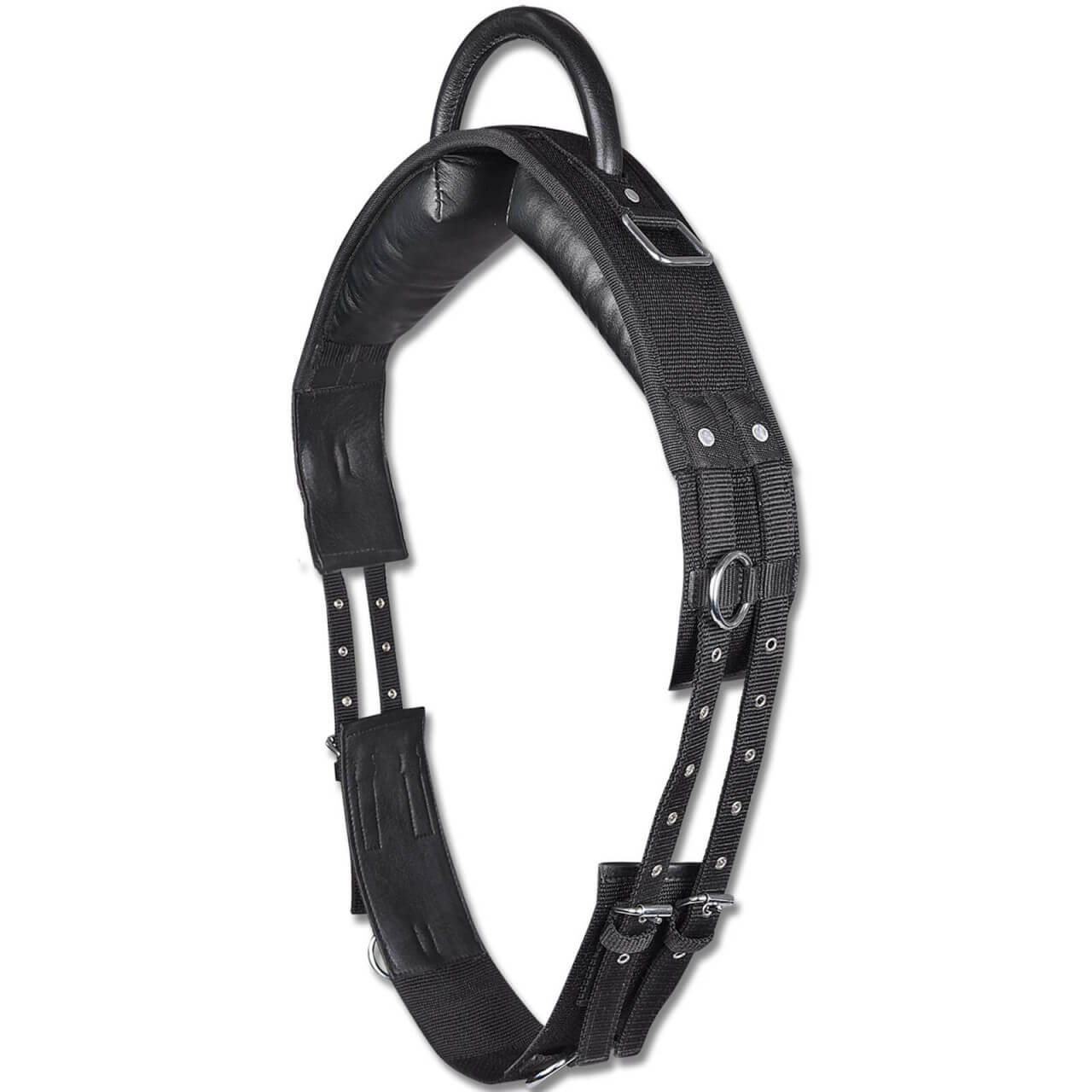 Waldhausen Longiergurt mit Handgriff synthetik Waldhausen Longiergurt mit Handgriff synthetik