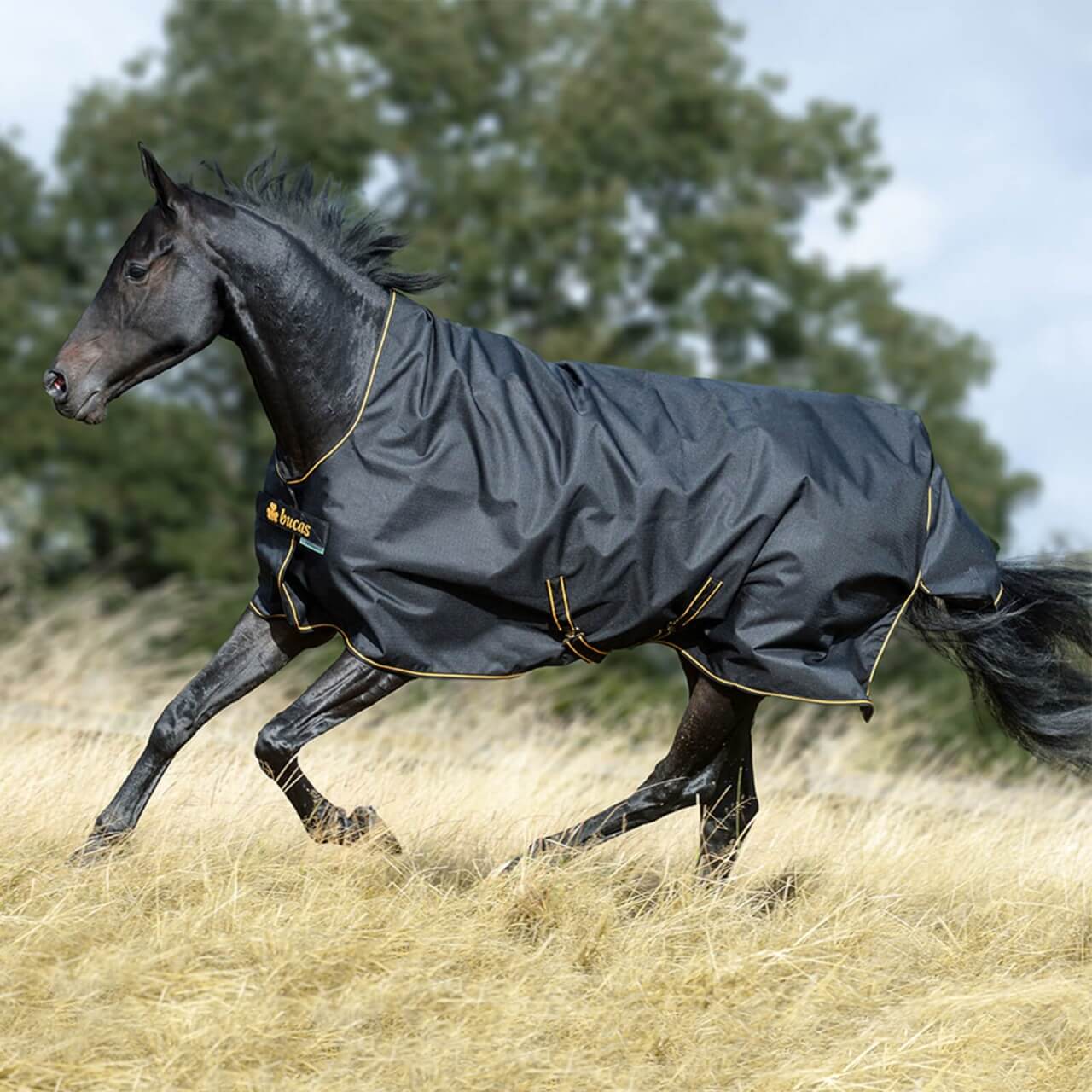 Bucas Outdoordecke 50g Irish Turnout High Neck Weidedecke Bucas Outdoordecke 50g Irish Turnout High Neck Weidedecke