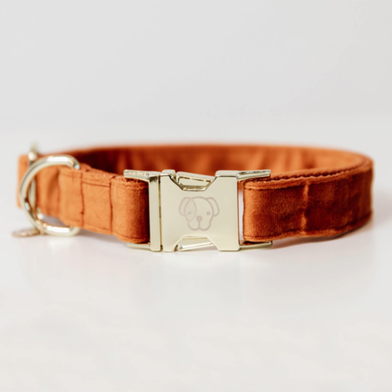 Kentucky Dogwear Hundehalsband Velvet Halsband Kentucky Dogwear Hundehalsband Velvet Halsband
