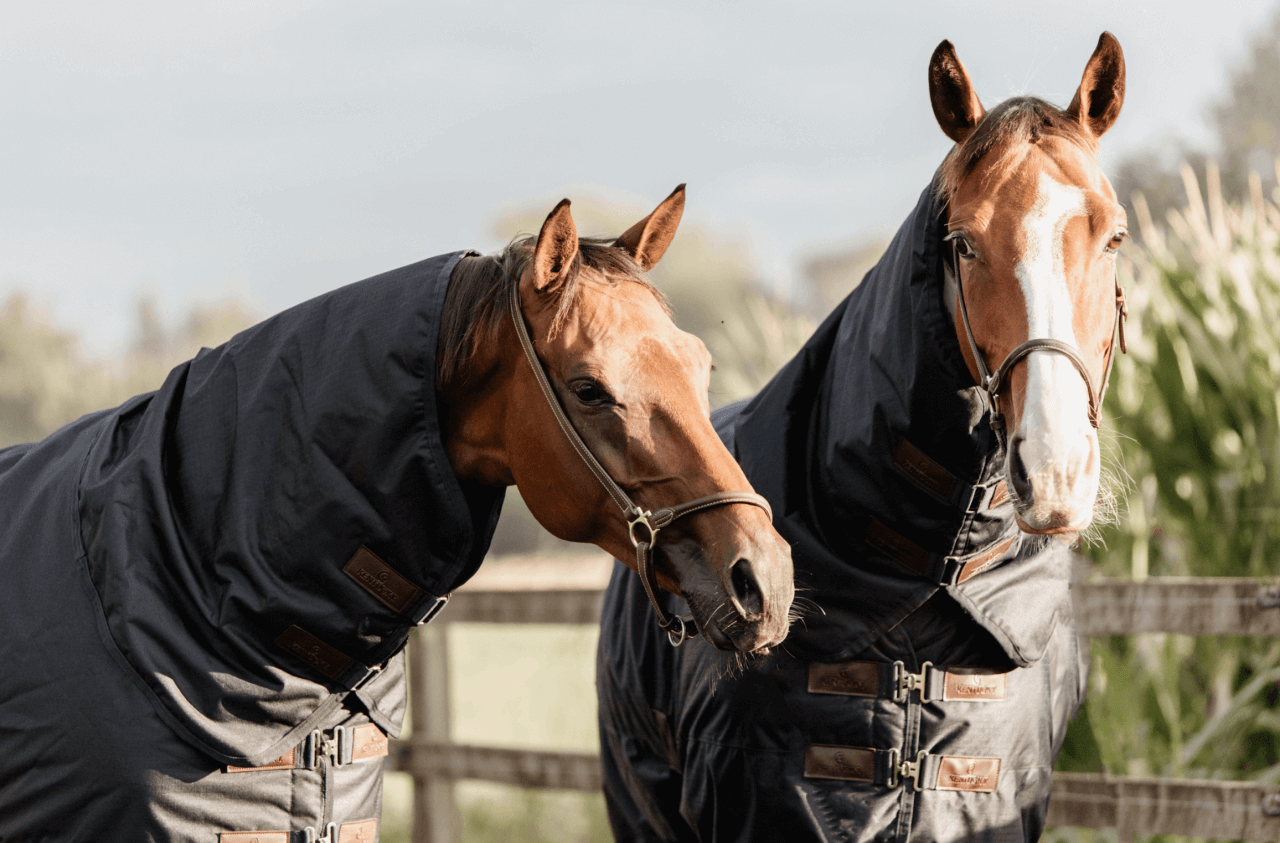 Bildschirmfoto-2024-04-16-um-15-16-580VlDoZFGFtVOk