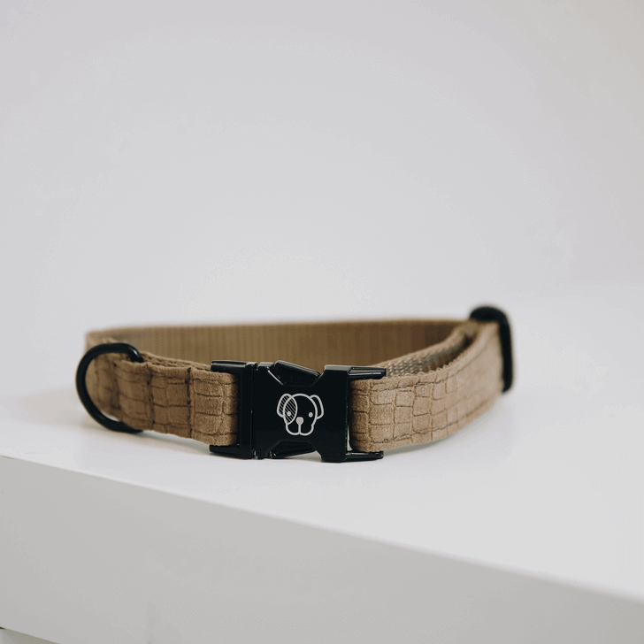 Kentucky Dogwear Halsband Lizard Hundehalsband Kentucky Dogwear Halsband Lizard Hundehalsband