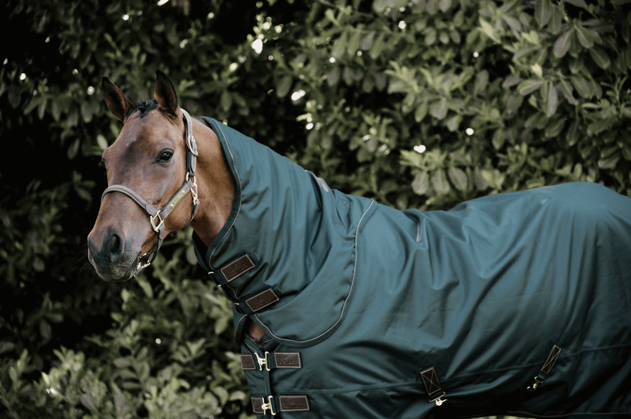 Bildschirmfoto-2022-10-07-um-16-54-05