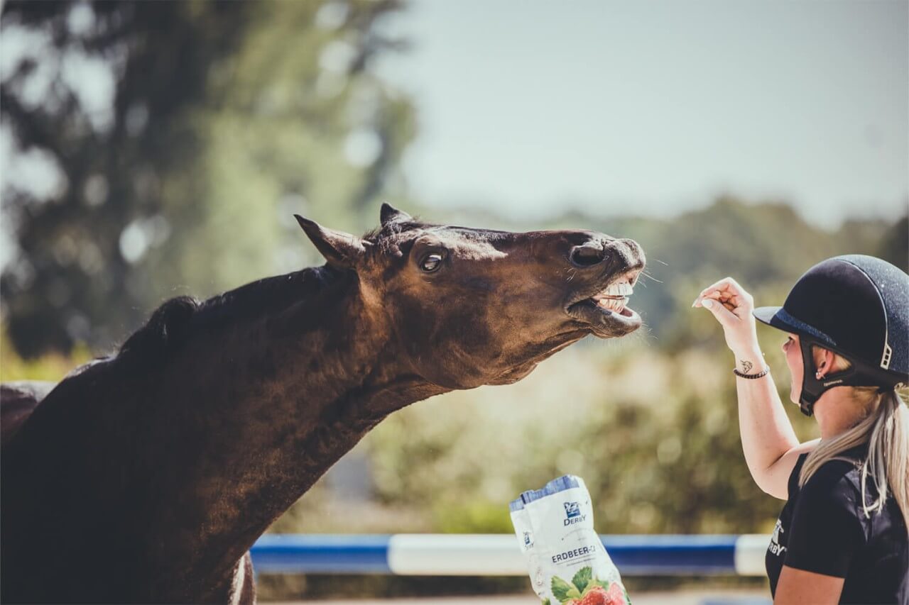 TitelbildAkbedx9N28sWV