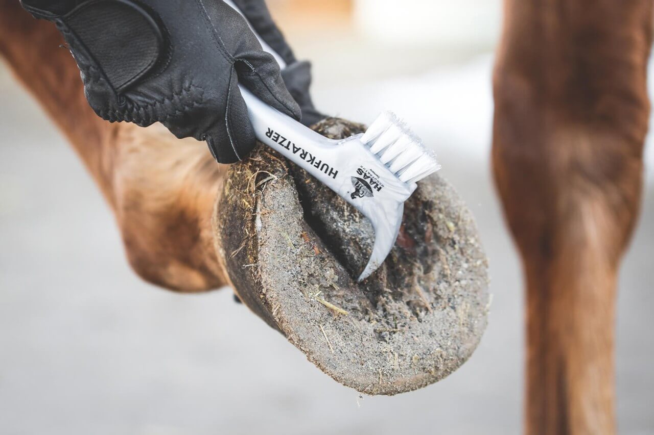 Titelbild-Kopiei6iqg5mEb2Rdz