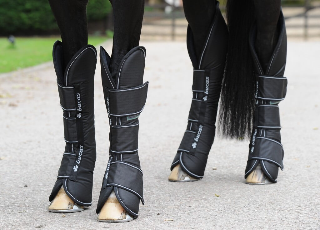 Bucas Transportgamaschen Freedom 4er- Set Bucas Transportgamaschen Freedom 4er- Set