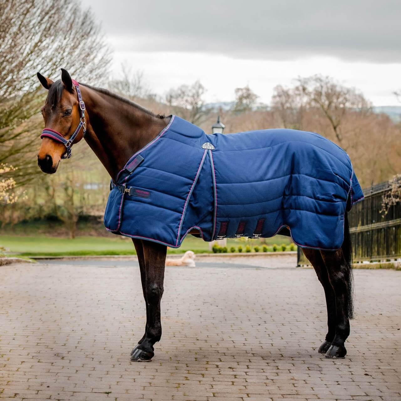 Horseware Ireland Stalldecke 200g Rambo Optimo Stable Rug Horseware Ireland Stalldecke 200g Rambo Optimo Stable Rug