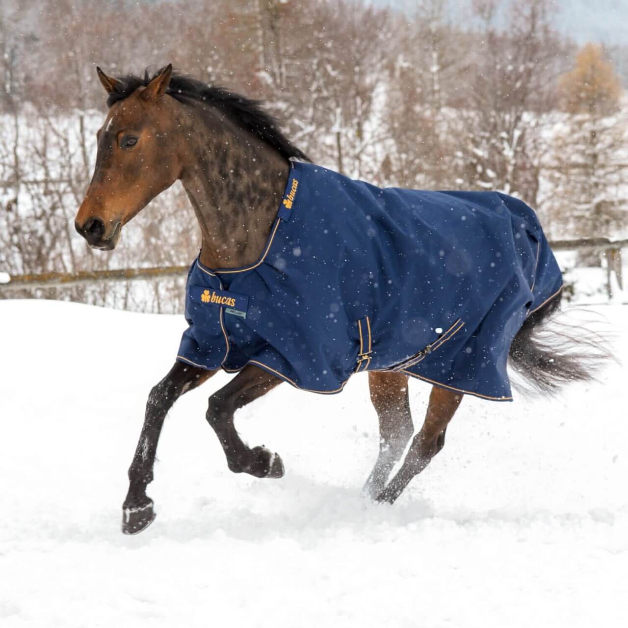 Bucas Outdoordecke 300g Irish Turnout Weidedecke Bucas Outdoordecke 300g Irish Turnout Weidedecke