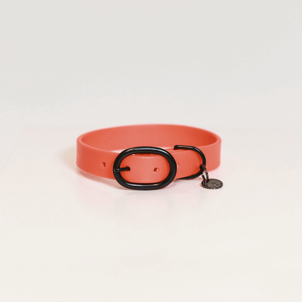 Kentucky Dogwear Hundehalsband Soft Rubber Gummi Kentucky Dogwear Hundehalsband Soft Rubber Gummi