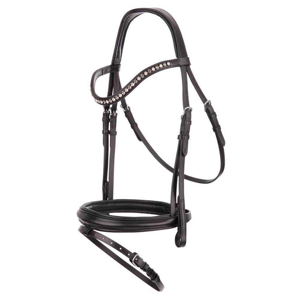 BR Trensenzaum Cambridge BR Trensenzaum Cambridge