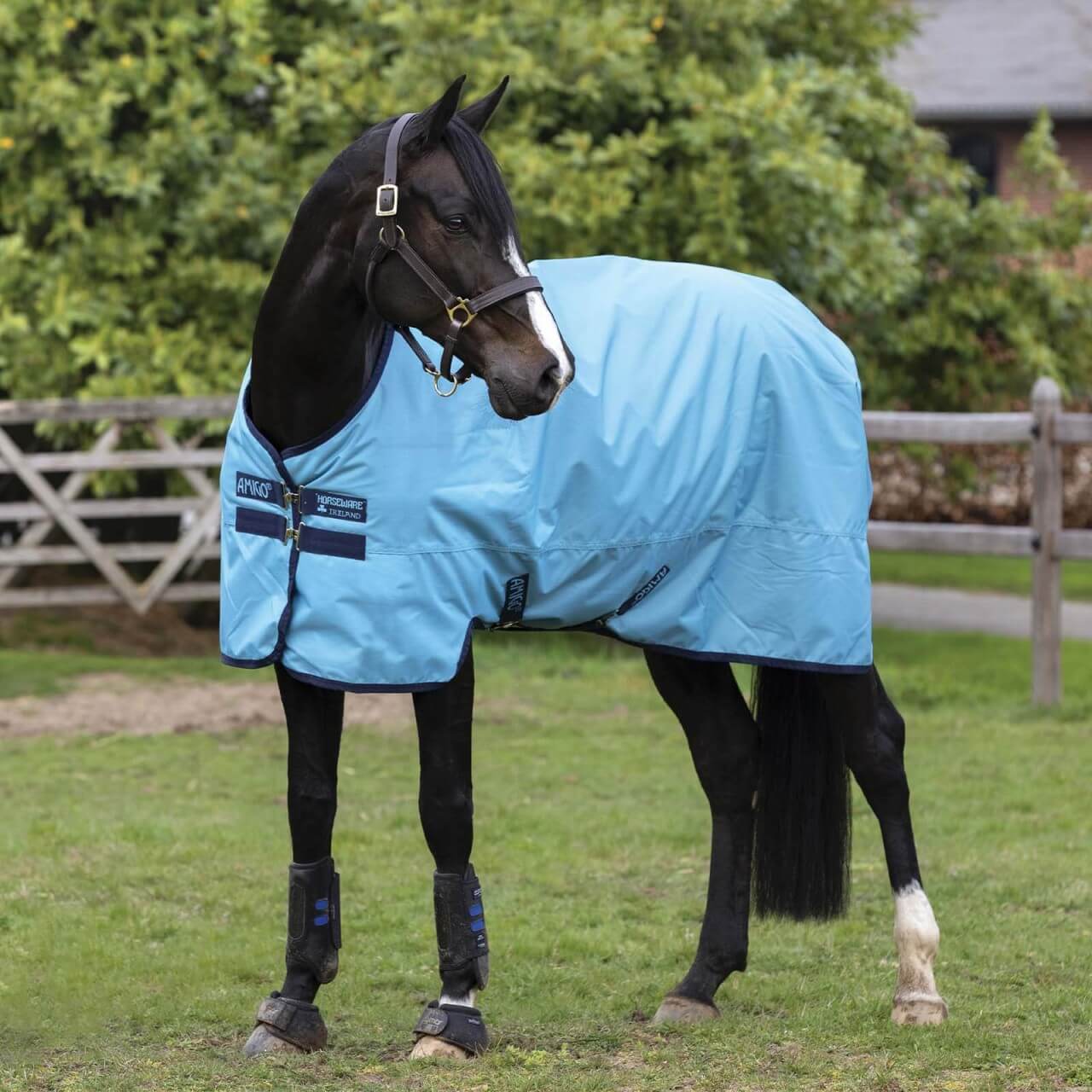 Horseware Ireland Outdoordecke 50g Amigo® Hero Ripstop Weidedecke Horseware Ireland Outdoordecke 50g Amigo® Hero Ripstop Weidedecke