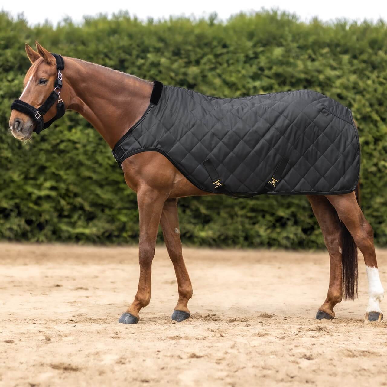 Waldhausen Führmaschinendecke 50g Exclusive Waldhausen Führmaschinendecke 50g Exclusive