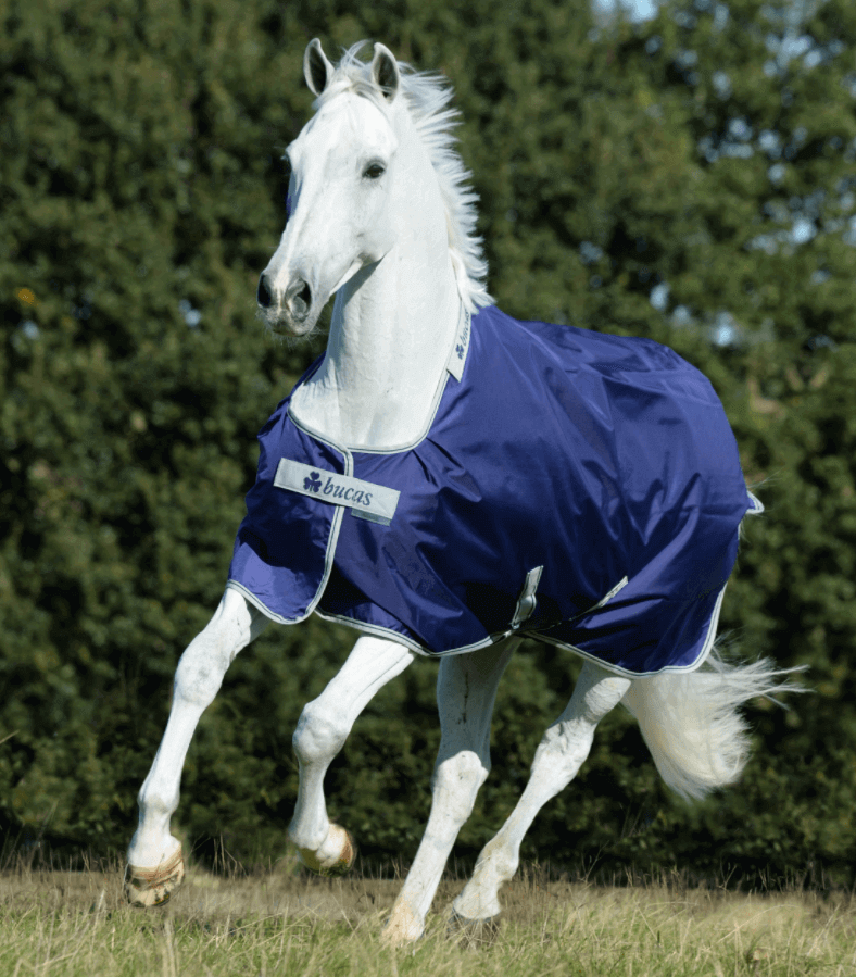 Bucas Outdoordecke 50g Atlantic Turnout Weidedecke Bucas Outdoordecke 50g Atlantic Turnout Weidedecke