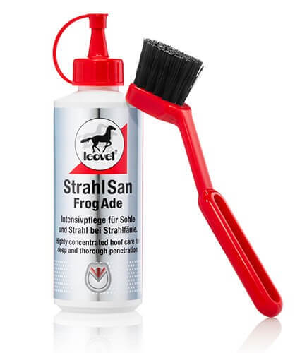 leovet StrahlSan leovet StrahlSan