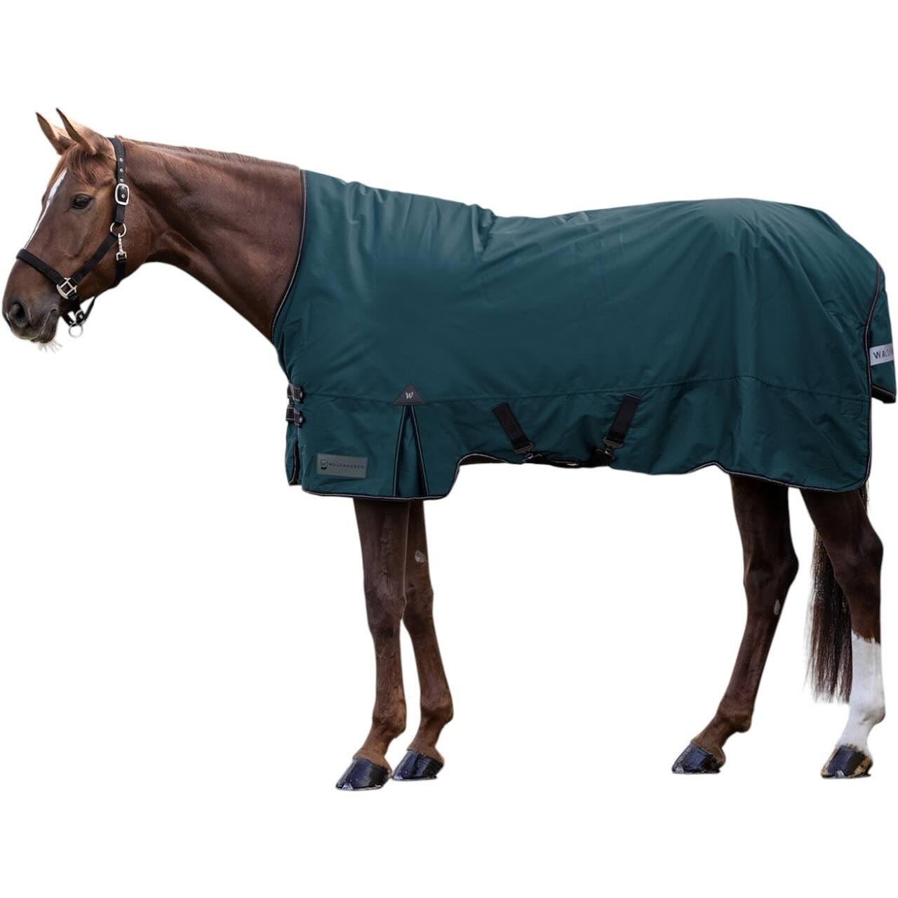Waldhausen Outdoordecke 200g Arctic High Neck Weidedecke Waldhausen Outdoordecke 200g Arctic High Neck Weidedecke