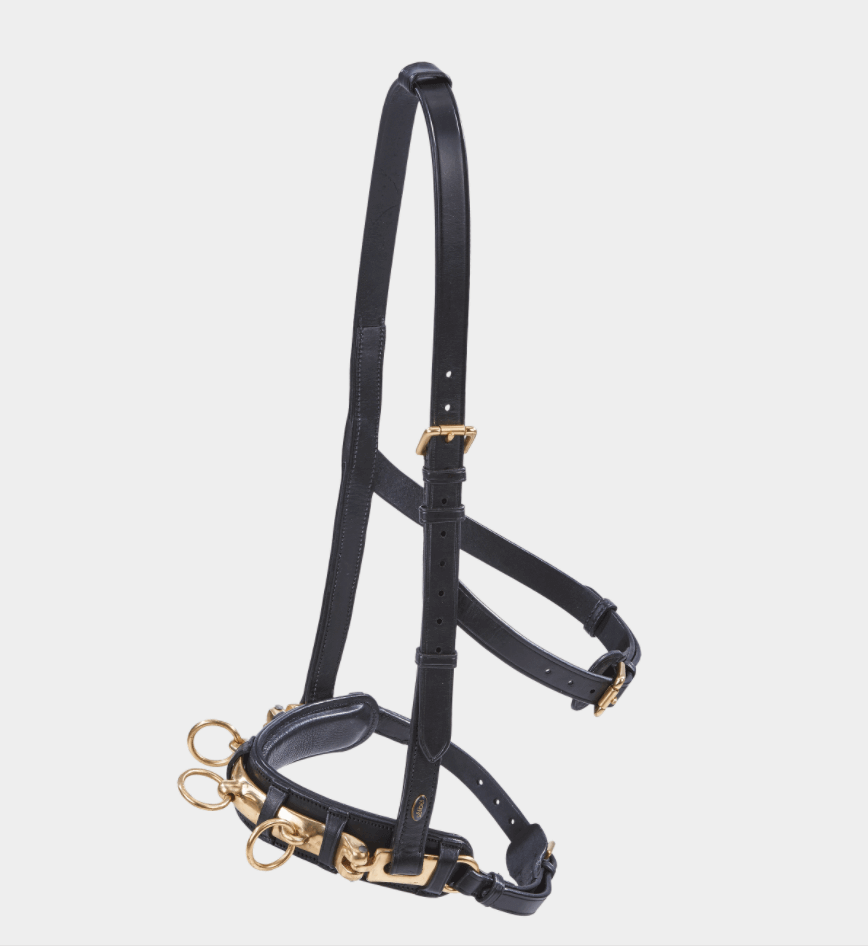 BUSSE Kappzaum Professional BUSSE Kappzaum Professional