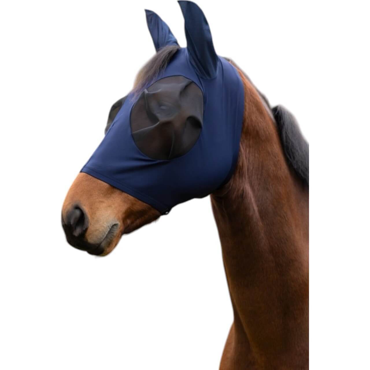 Covalliero Fliegenmaske FinoStretch Zipper Fliegenschutzmaske Covalliero Fliegenmaske FinoStretch Zipper Fliegenschutzmaske