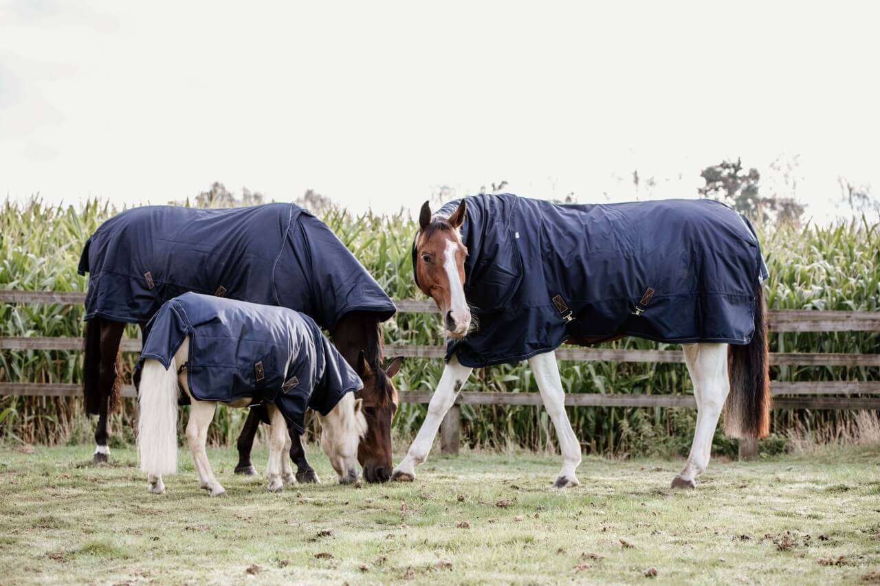 52109-52110-03-Kopie