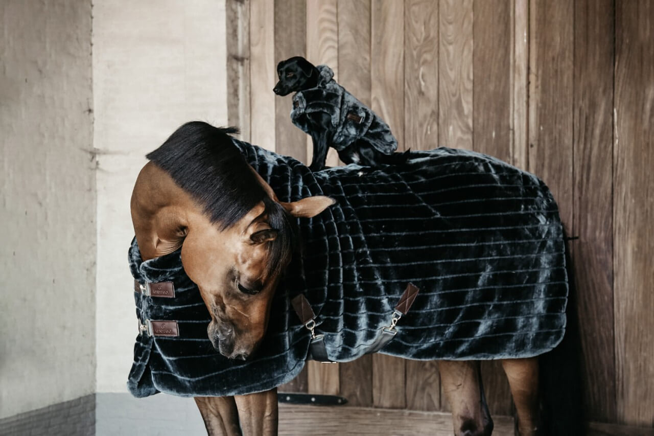 Titelbild67JUT3glk4u26