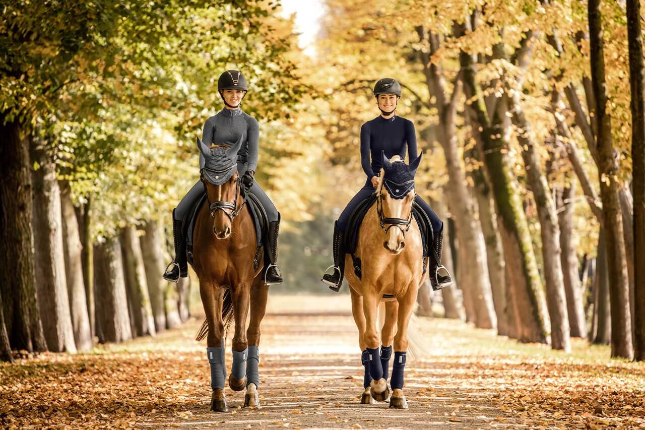 Titelbild7no0oZuvS0sSJ