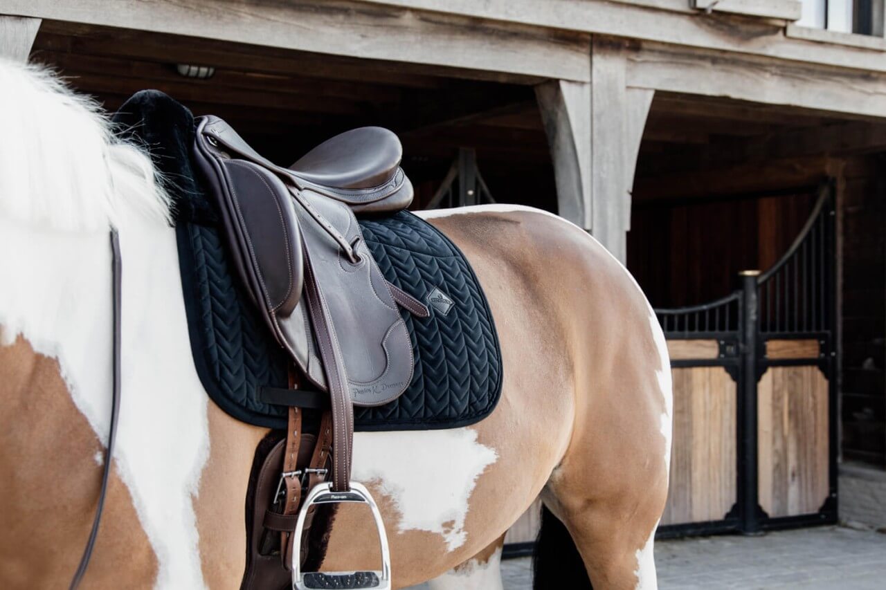 Titelbild2S7b479qVwwtb