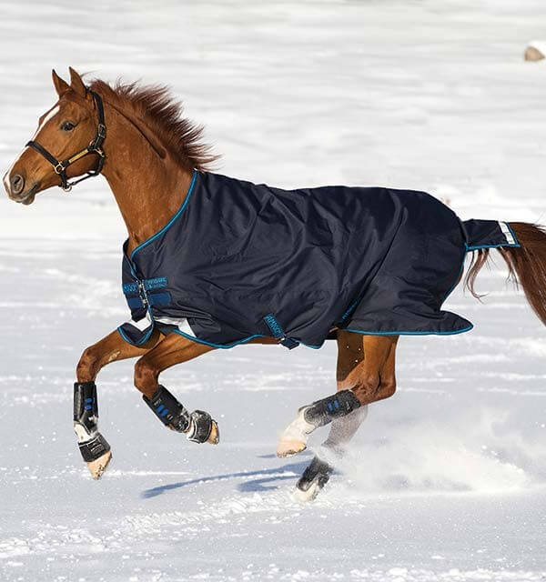 Horseware Ireland Outdoordecke 100g Amigo® Bravo 12 Original Weidedecke Horseware Ireland Outdoordecke 100g Amigo® Bravo 12 Original Weidedecke