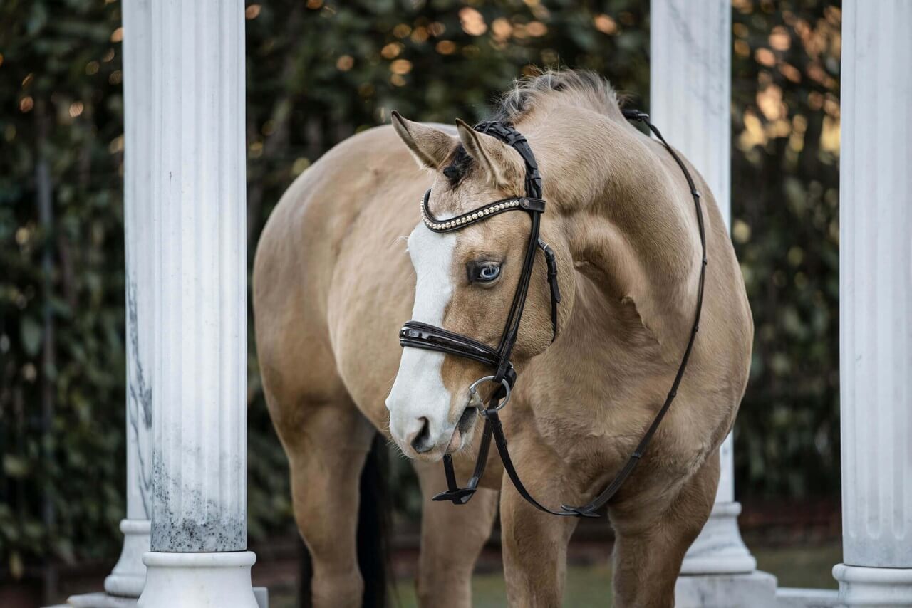 33-webOpFsartEYCG3yRSfNTxl02iyCT