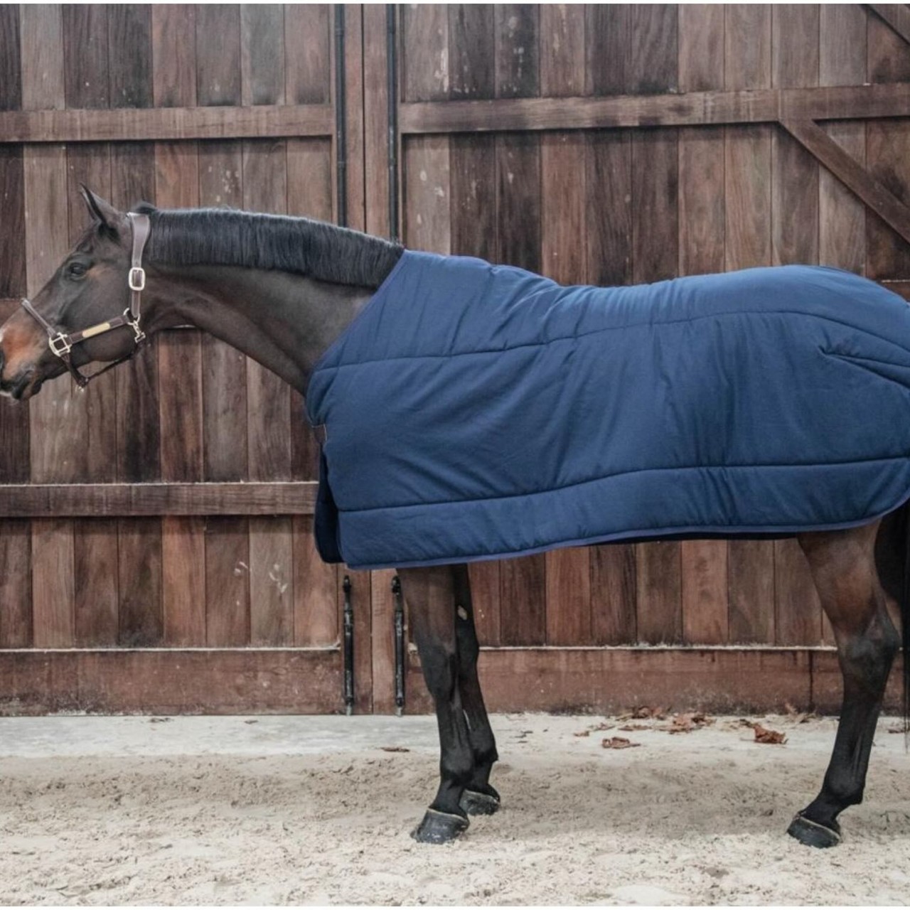 Kentucky Horsewear Unterdecke 300g Classic Unterziehdecke atmungsaktiv Kentucky Horsewear Unterdecke 300g Classic Unterziehdecke atmungsaktiv
