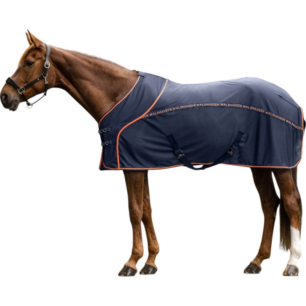 Waldhausen Fliegendecke Cooler Sommerdecke Waldhausen Fliegendecke Cooler Sommerdecke