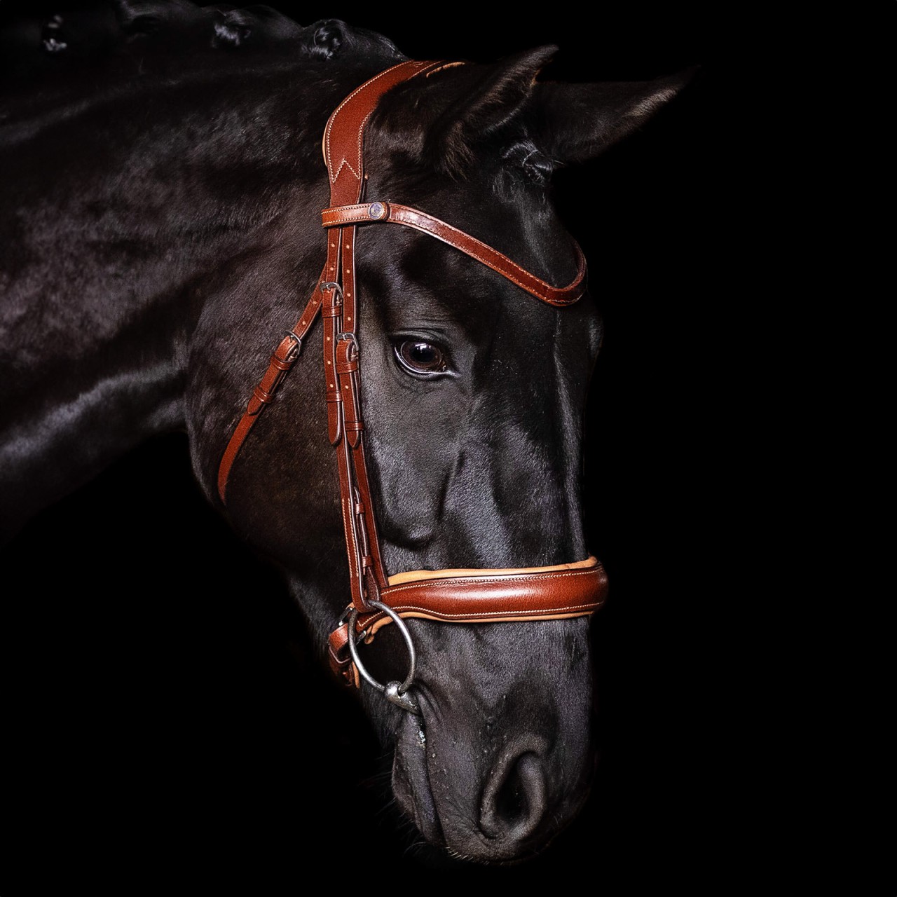 Bridlery Trense Charm englischer Trensenzaum Bridlery Trense Charm englischer Trensenzaum