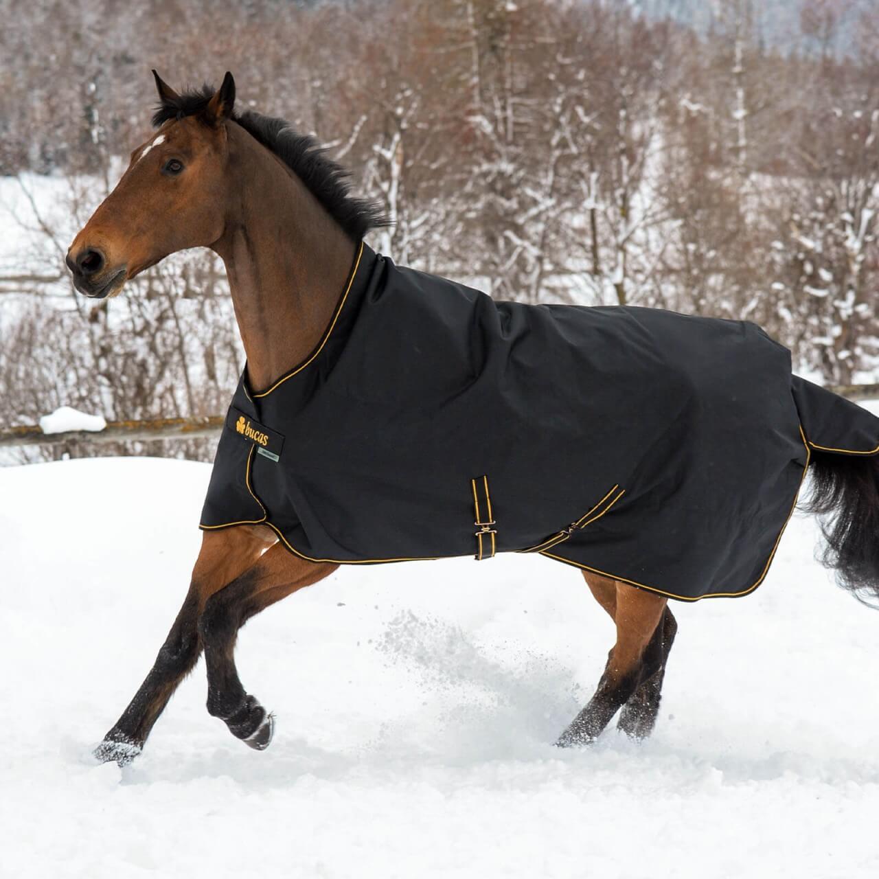 Bucas Outdoordecke 300g Irish Turnout High Neck Weidedecke Bucas Outdoordecke 300g Irish Turnout High Neck Weidedecke