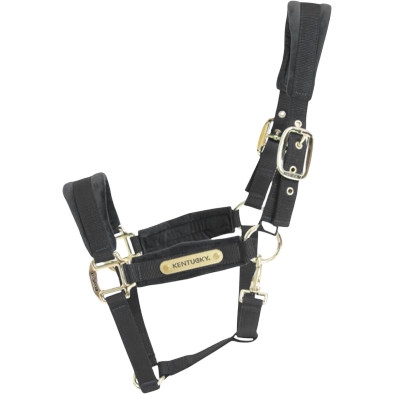 Kentucky Horsewear Halfter Velvet Samthalfter Stallhalfter Kentucky Horsewear Halfter Velvet Samthalfter Stallhalfter
