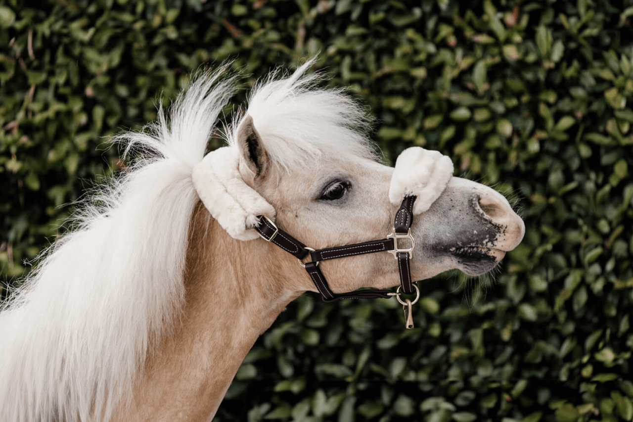 MicrosoftTeams-image-20