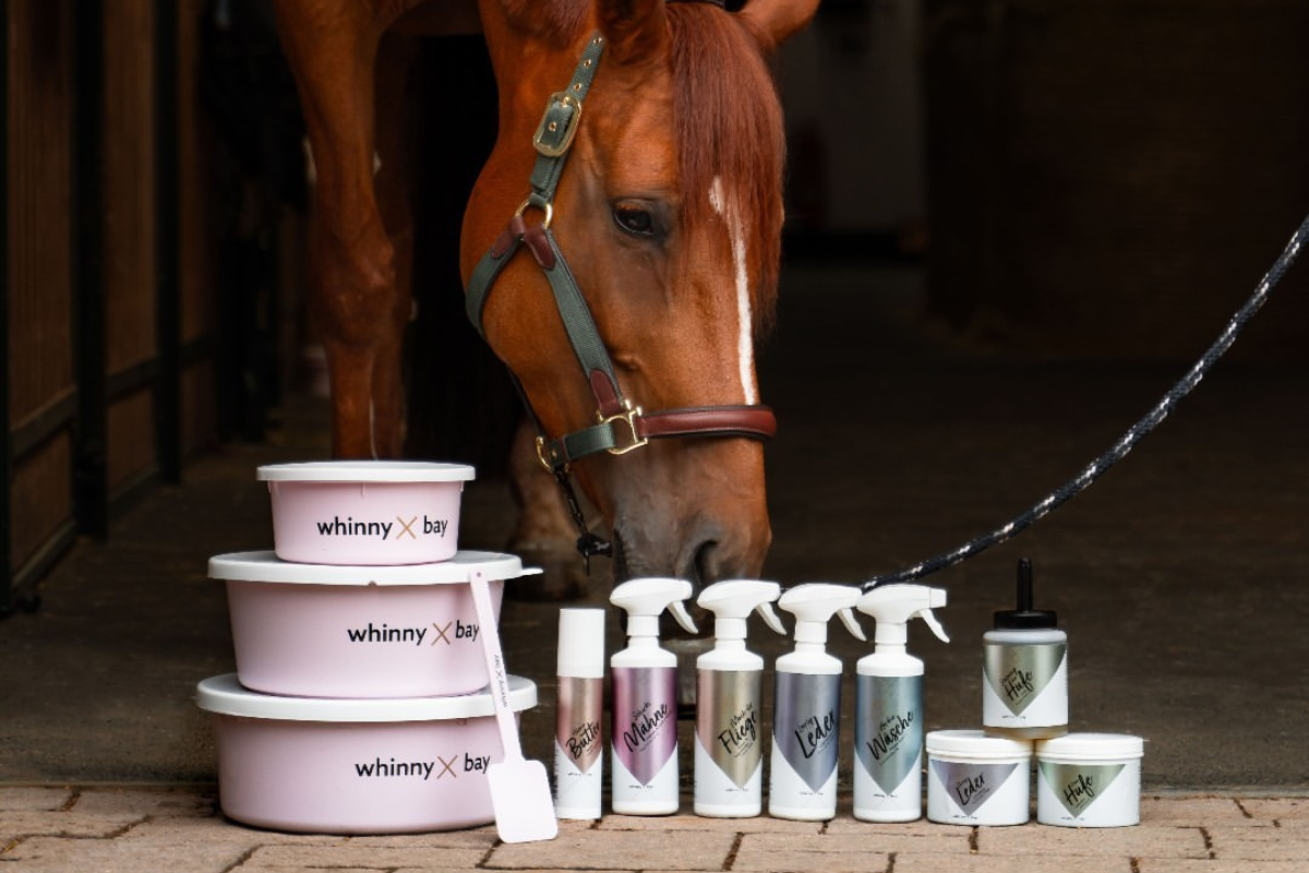 Design-ohne-Titel44aTYZWieg57H