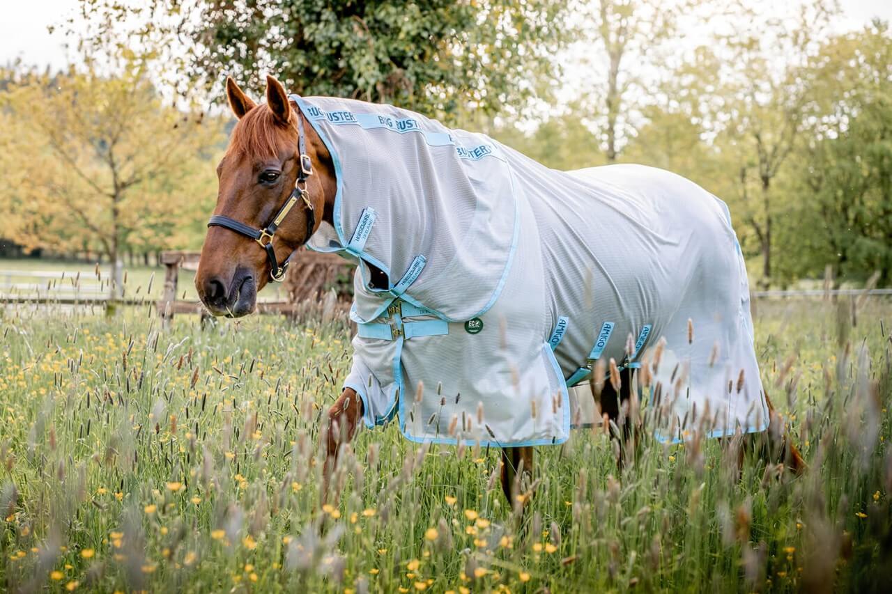 TitelbildJ5KwF1koT6Q5G