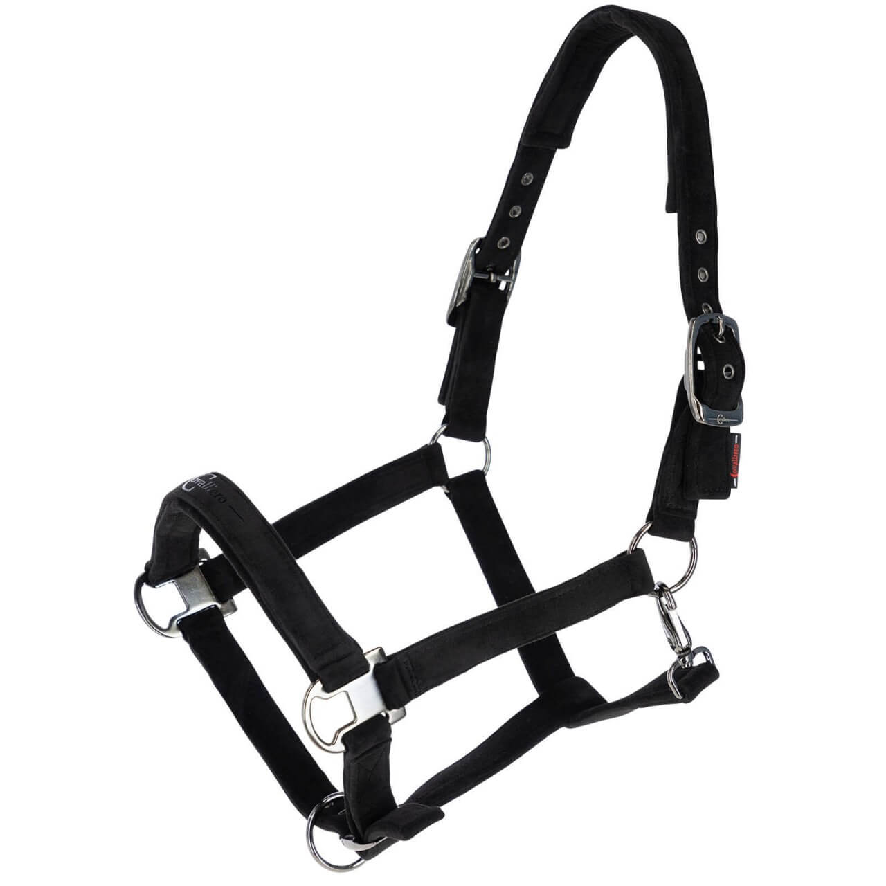 Covalliero Halfter HW 2023 Nylonhalfter Covalliero Halfter HW 2023 Nylonhalfter