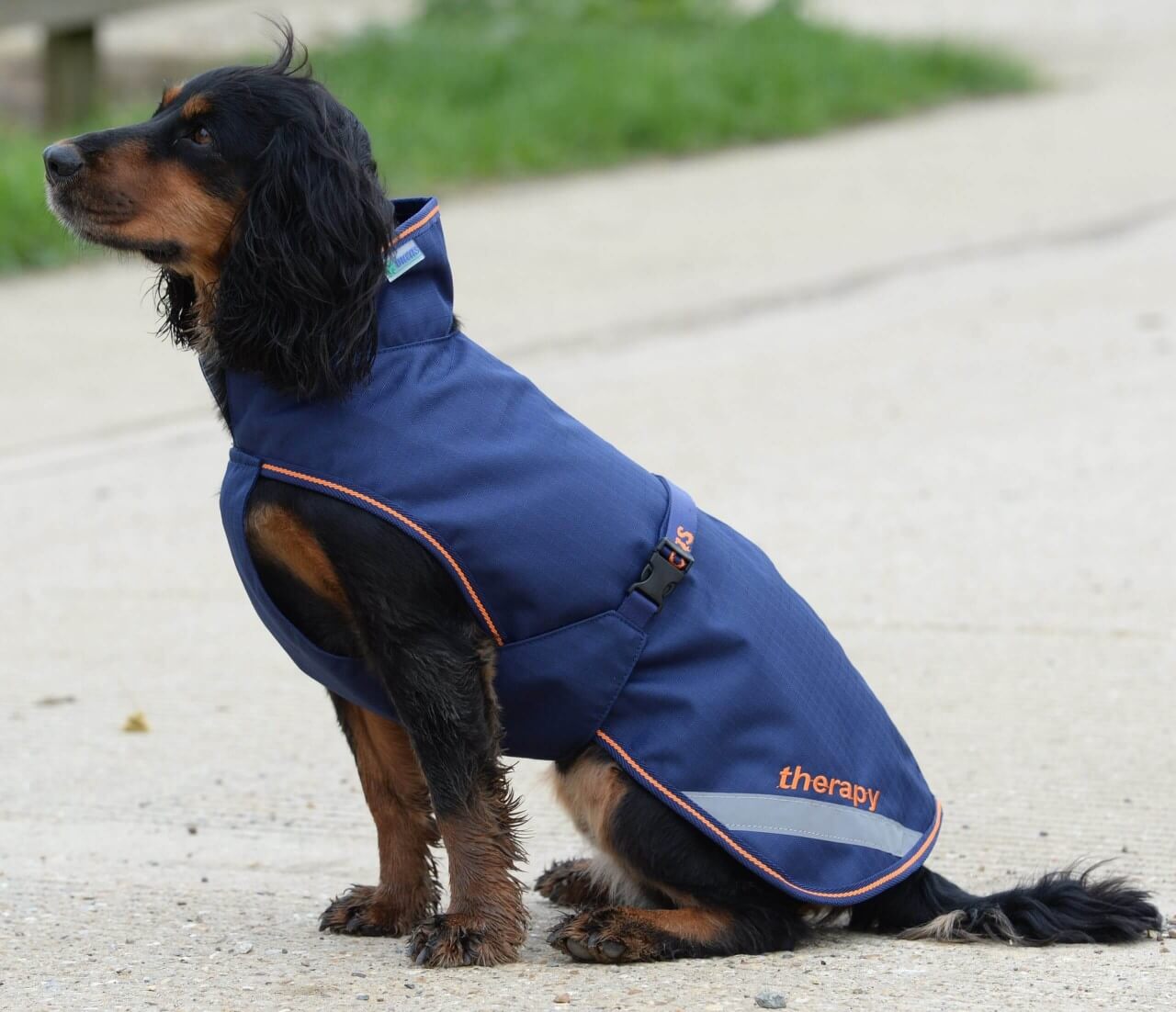 Bucas Hundedecke 0g Therapy Dog Rug Hundemantel Bucas Hundedecke 0g Therapy Dog Rug Hundemantel