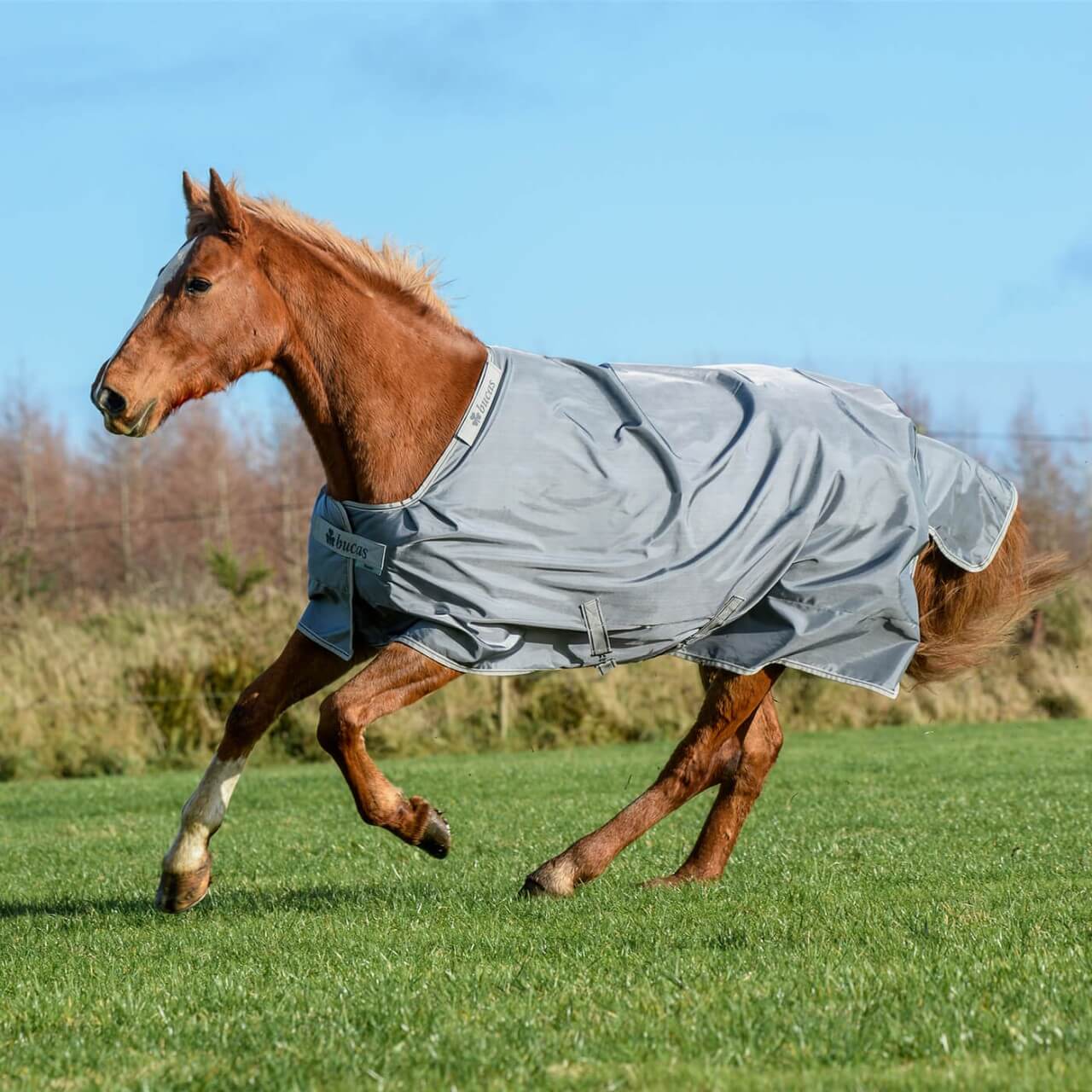 Bucas Outdoordecke 300g Smartex Turnout Extra Weidedecke Bucas Outdoordecke 300g Smartex Turnout Extra Weidedecke