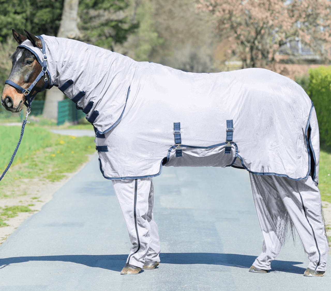 BUSSE Fliegendecke Complete Plus BUSSE Fliegendecke Complete Plus