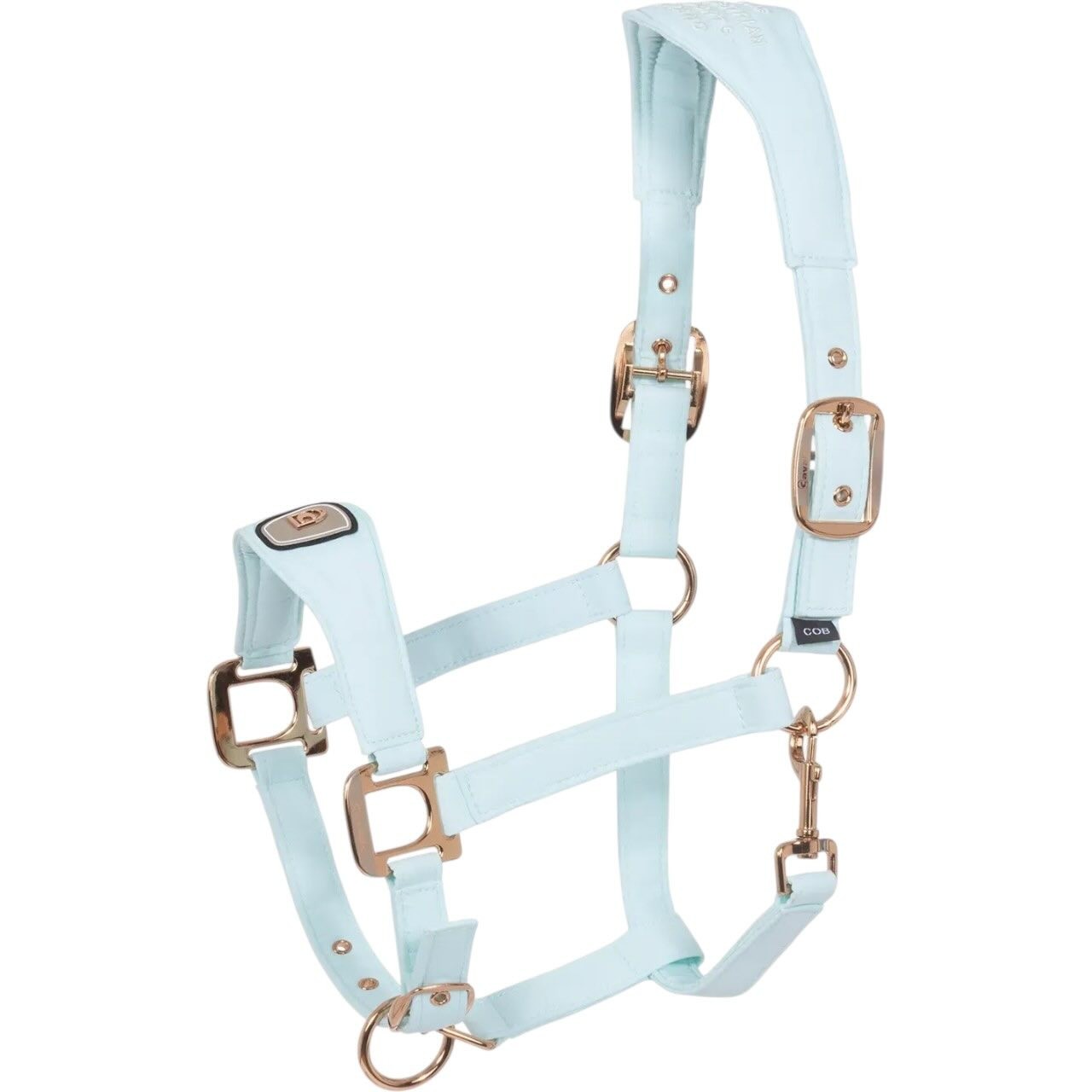 Cavallo Halfter CAVALPAWEL FS 2026 Nylonhalfter Cavallo Halfter CAVALPAWEL FS 2026 Nylonhalfter
